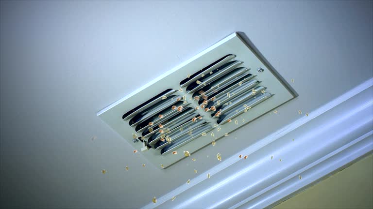 Best Affordable Duct Cleaning Services  in Kalamazoo, MI