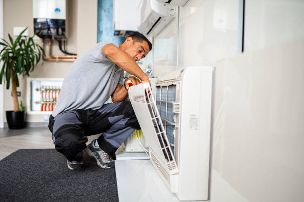 Air Duct Mold Removal in Kalamazoo, MI