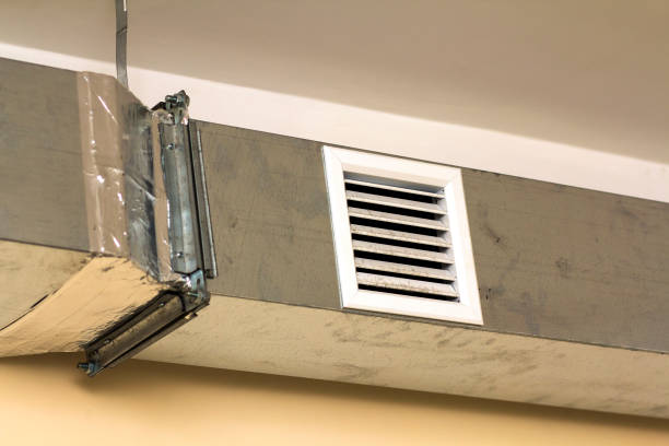 Best Professional Duct Cleaning Services  in Kalamazoo, MI